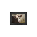 Gallery Frame