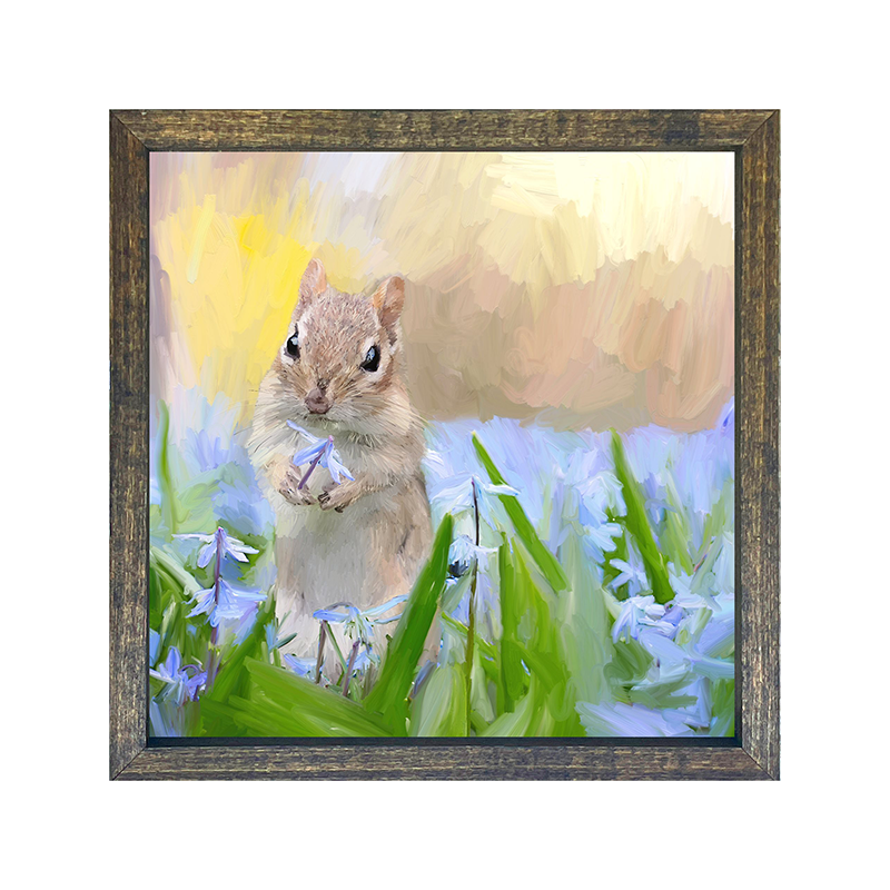 Squirrel