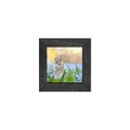 Gallery Frame