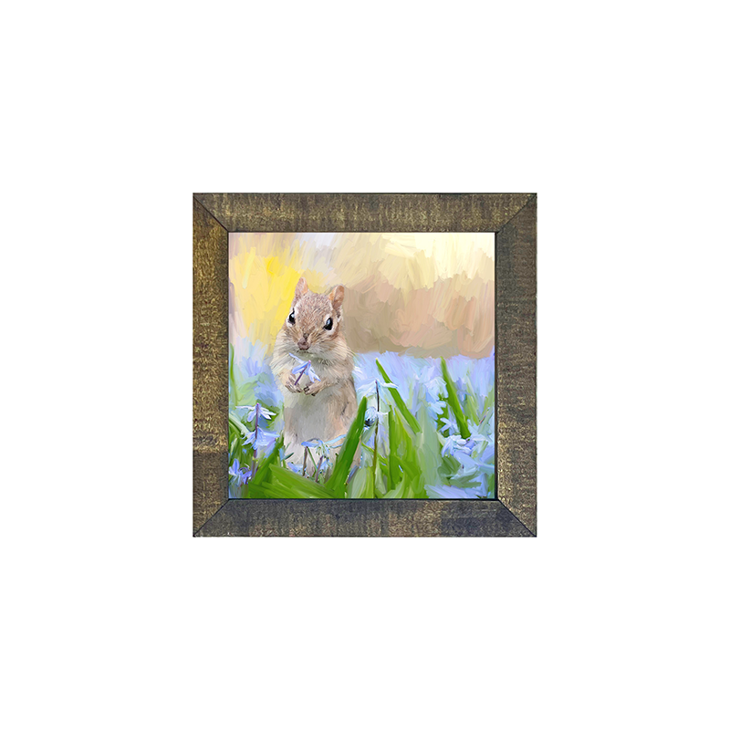 Squirrel