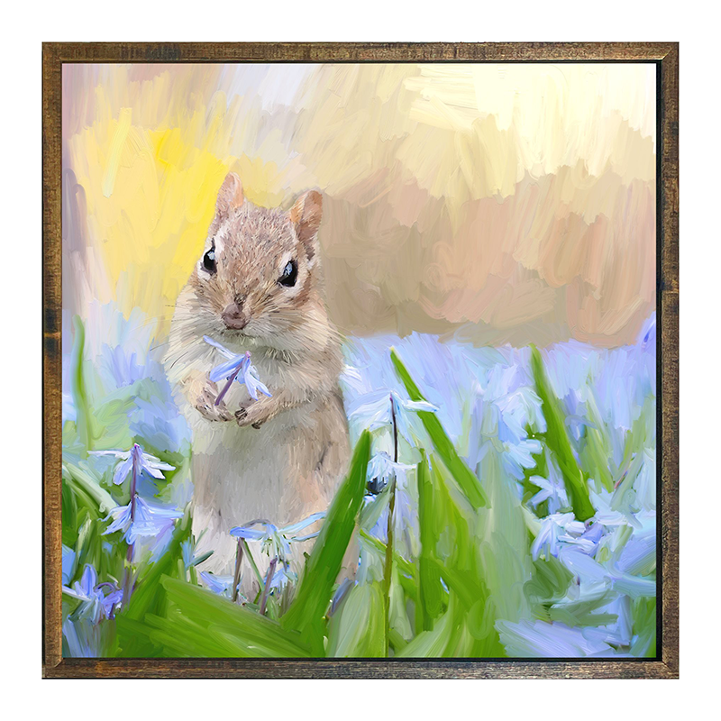 Squirrel