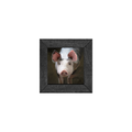 Gallery Frame