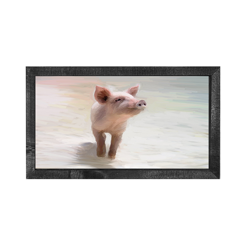 Pig in the sand