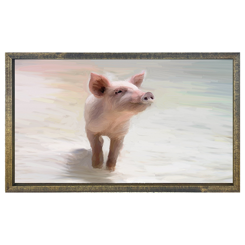Pig in the sand