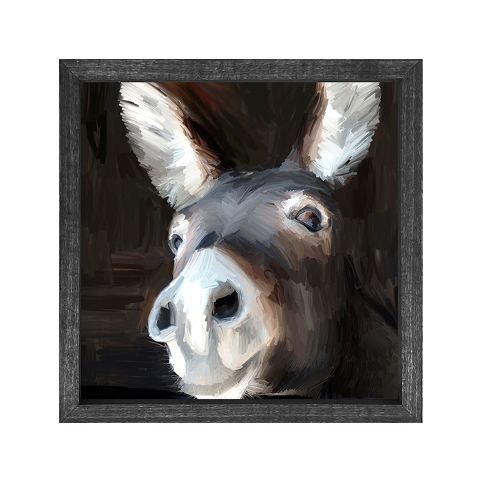 Donkey