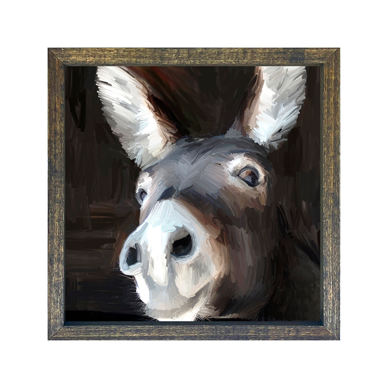 Donkey