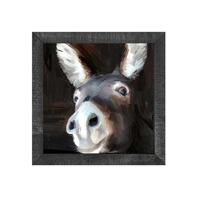 Donkey
