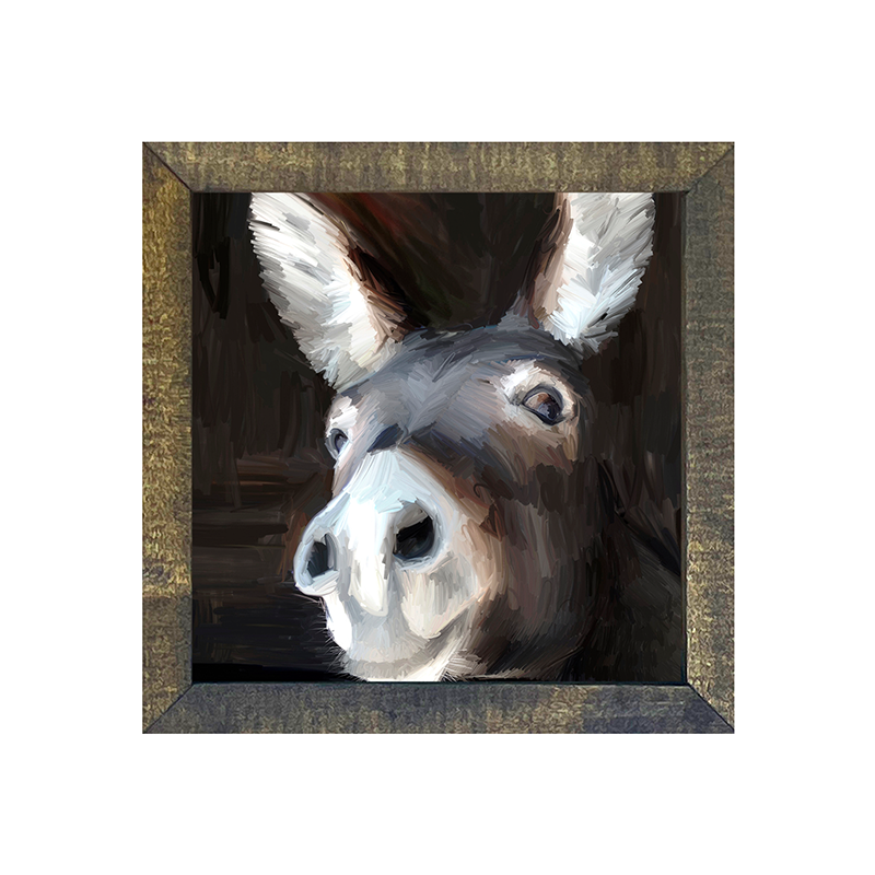 Donkey