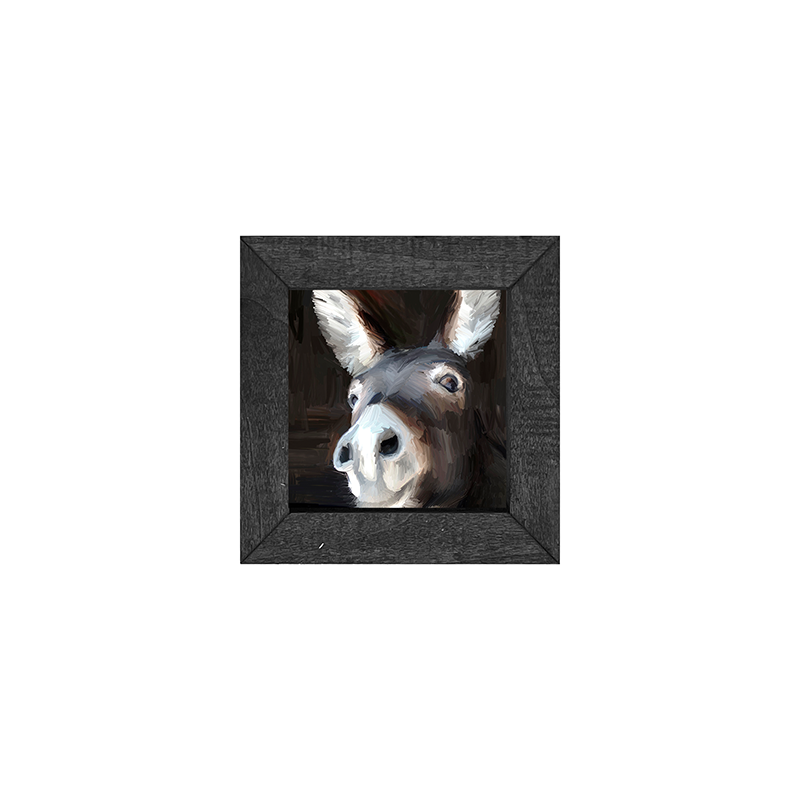Donkey