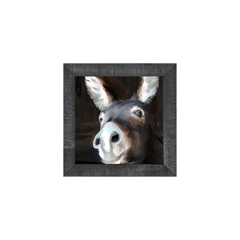 Donkey