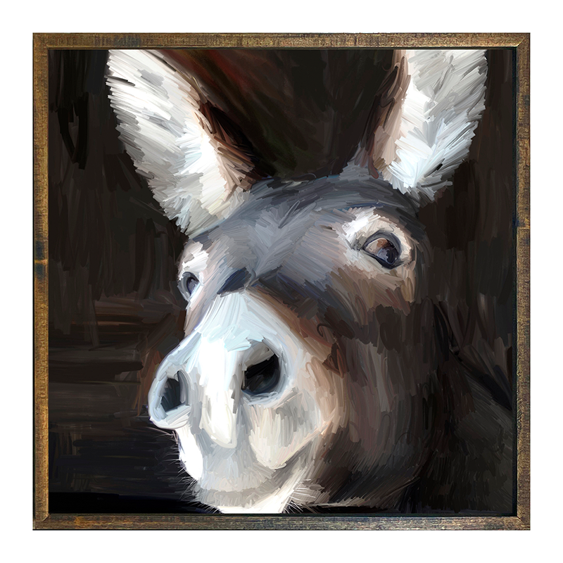Donkey