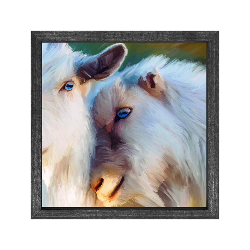 Blue Eyed Goats