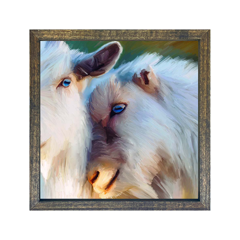 Blue Eyed Goats