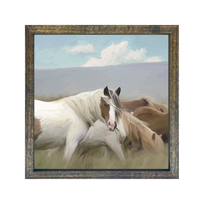 Wild Horses