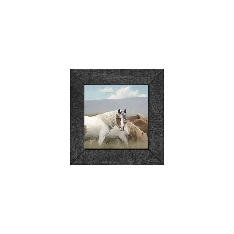 Wild Horses