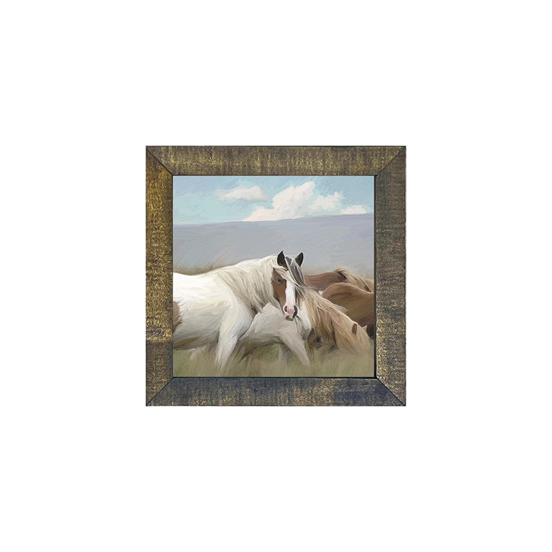 Wild Horses