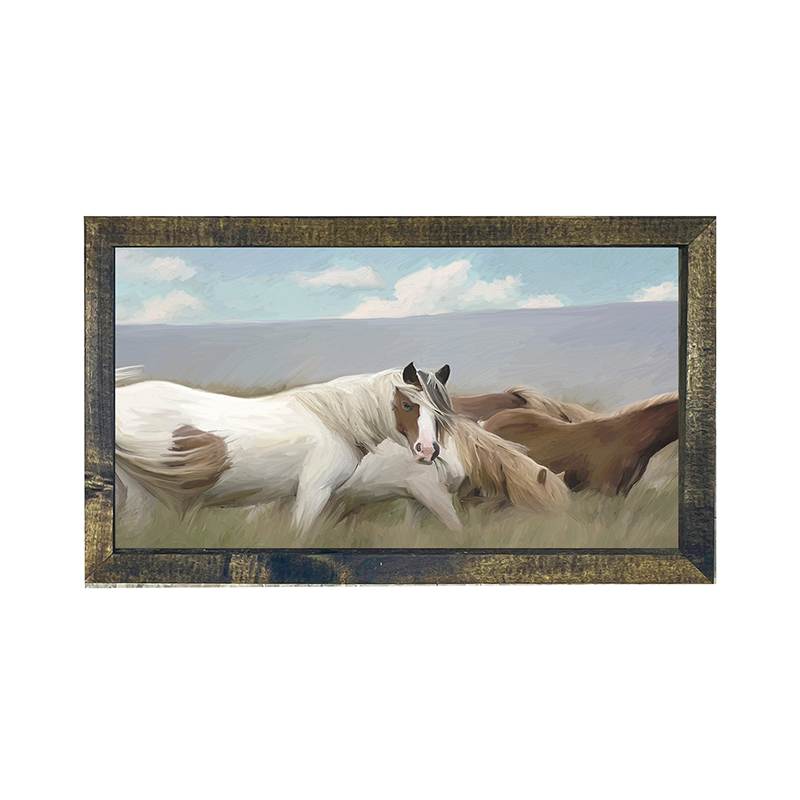 Wild Horses
