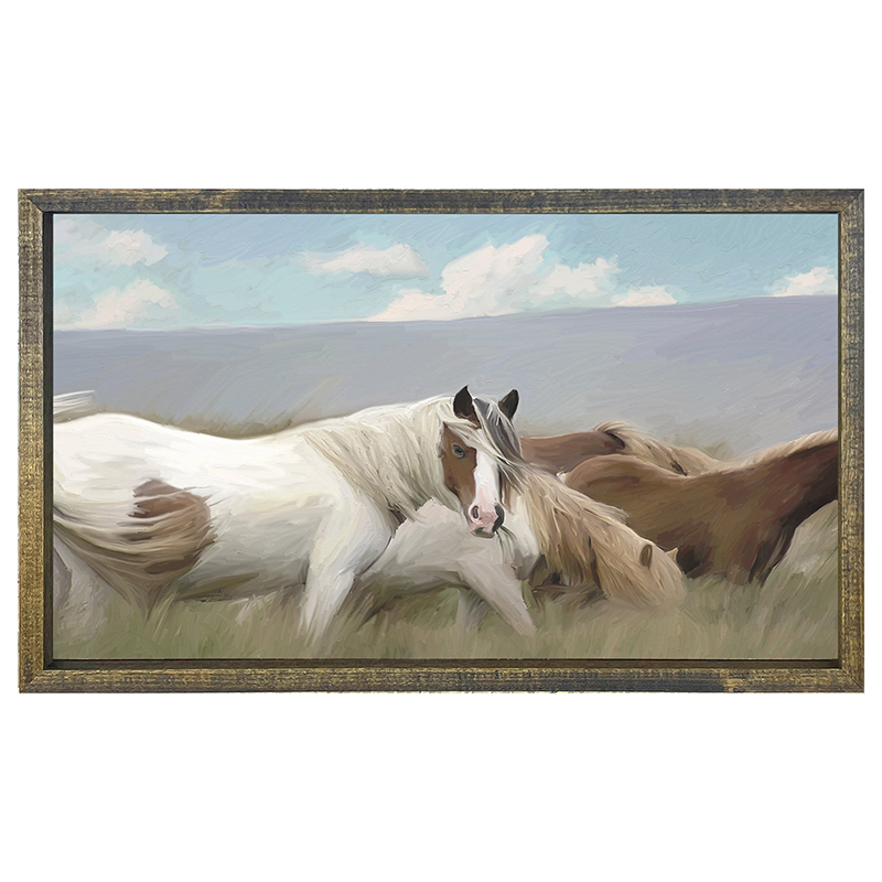 Wild Horses
