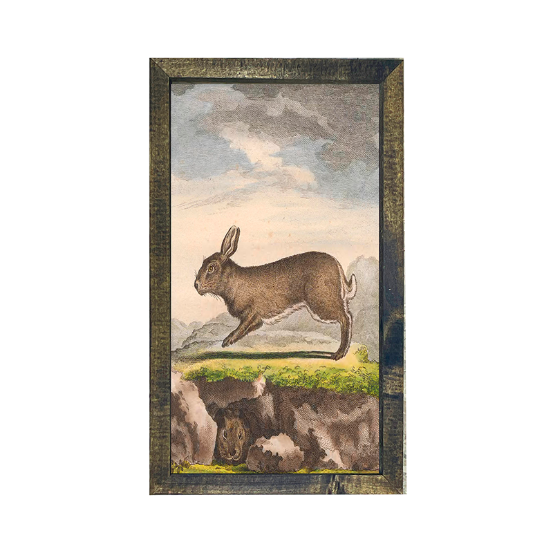 Vintage-brown bunny