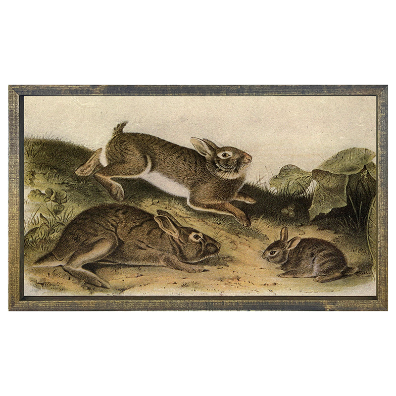 Vintage-playing bunnies