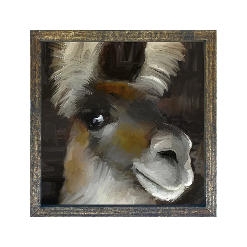 Beth's Llama