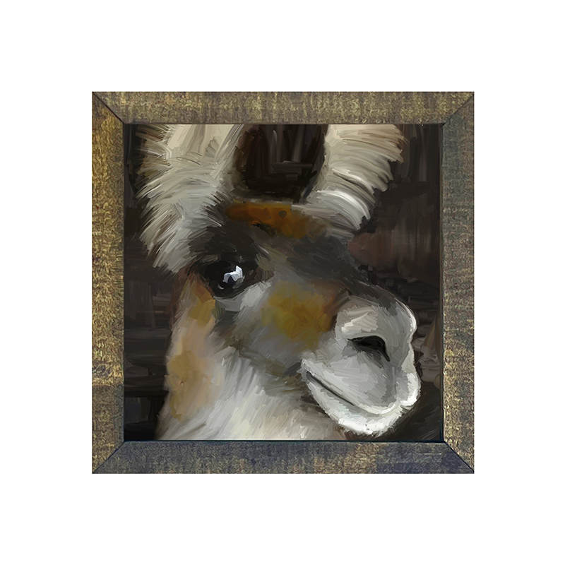Beth's Llama
