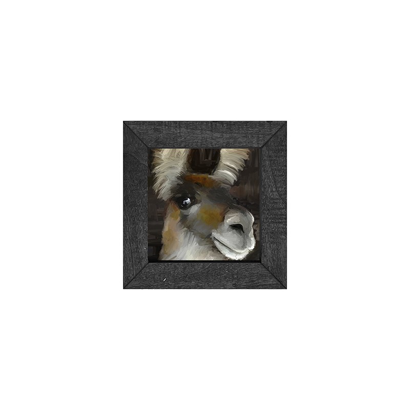 Beth's Llama