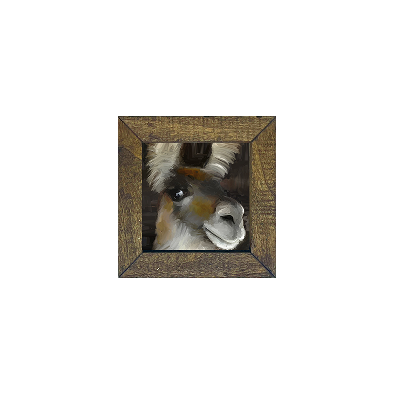 Beth's Llama