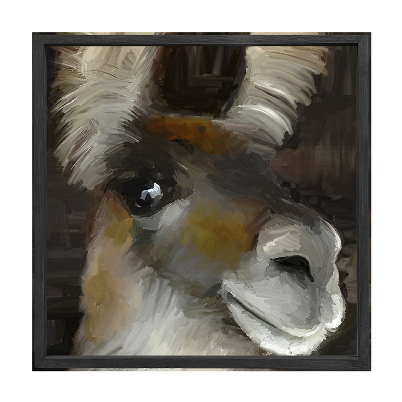 Beth's Llama