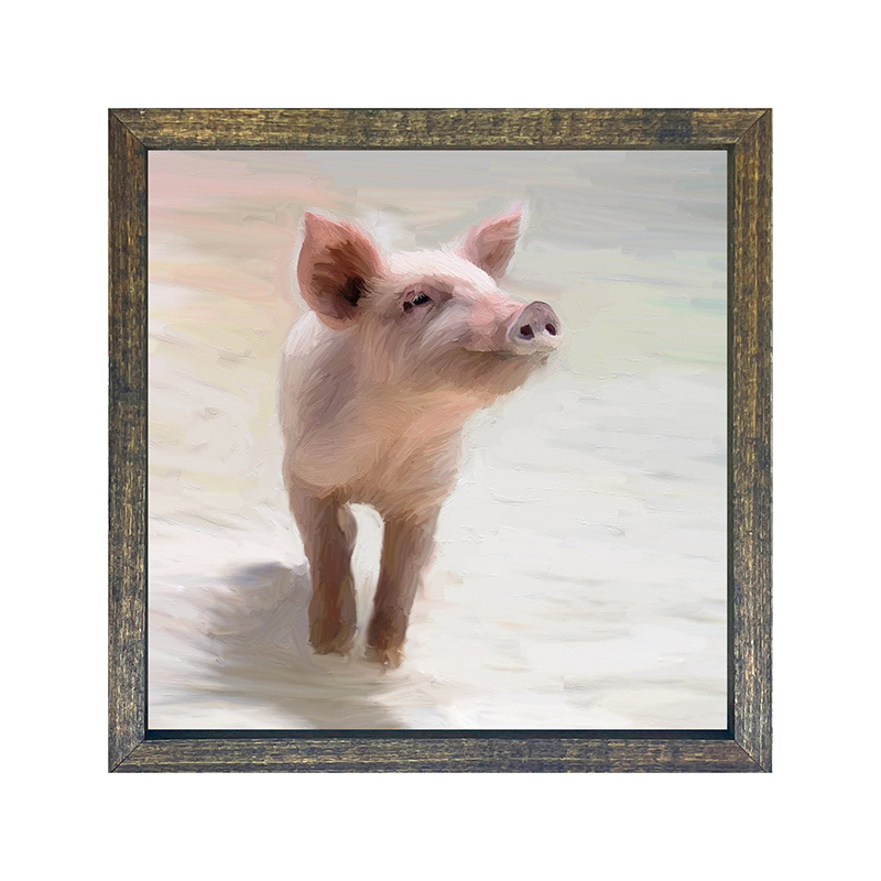 Pig in sand square
