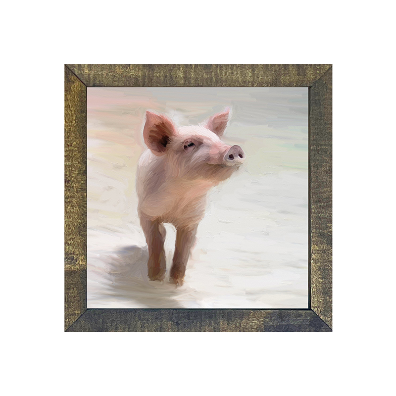Pig in sand square