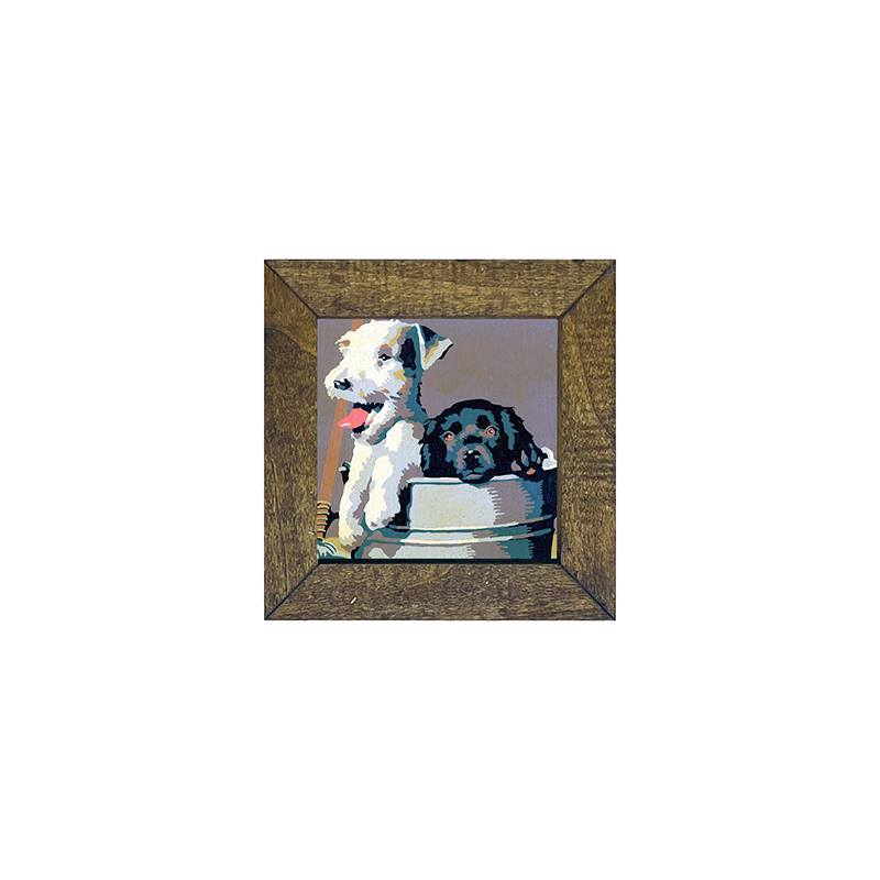 Dogs in washtub