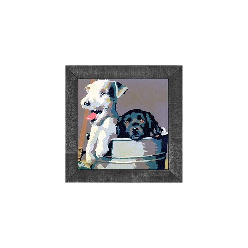 Dogs in washtub