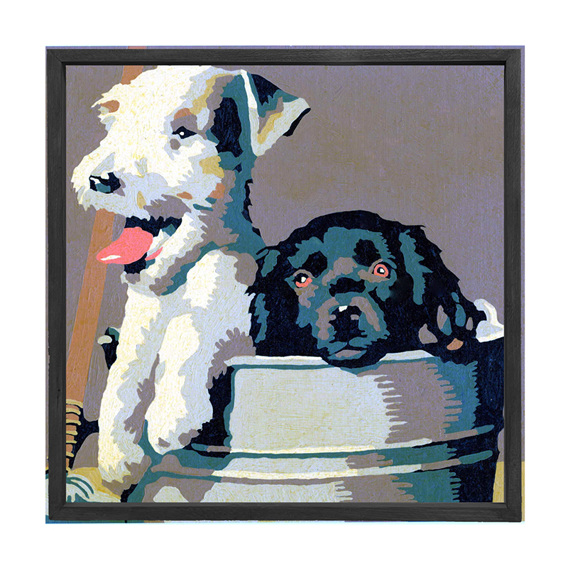 Dogs in washtub