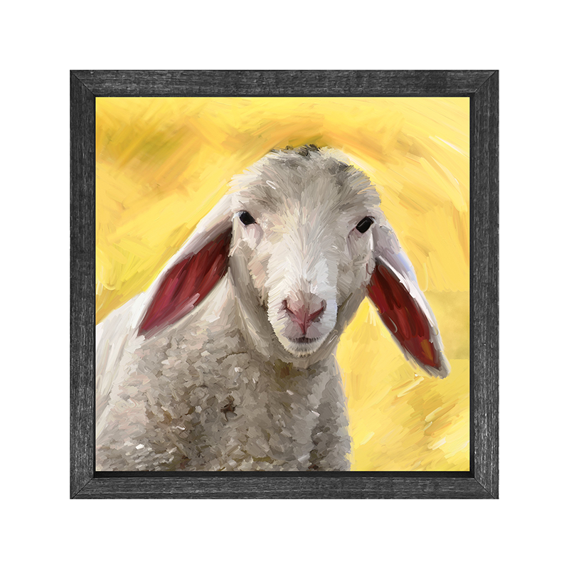 Flop Earred Lamb