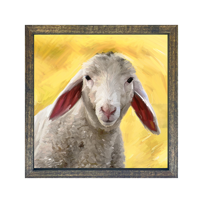 Flop Earred Lamb