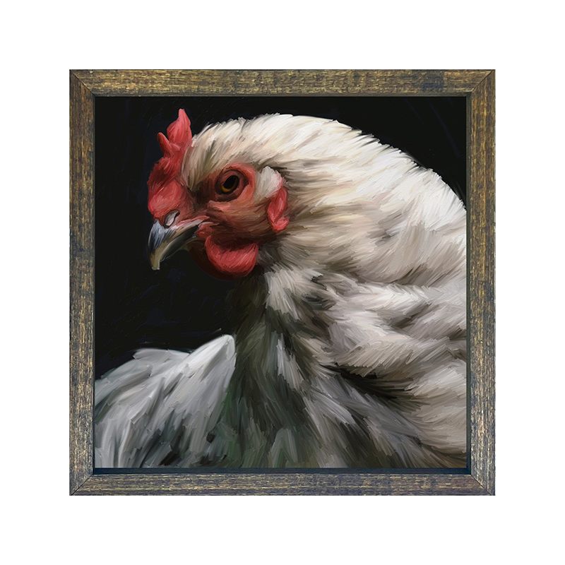 White Rooster