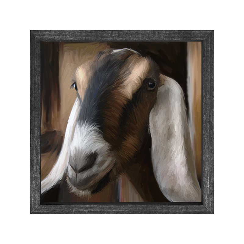 Goat-Long earred