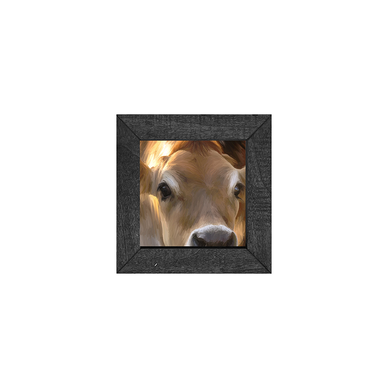 Cow-Jersey