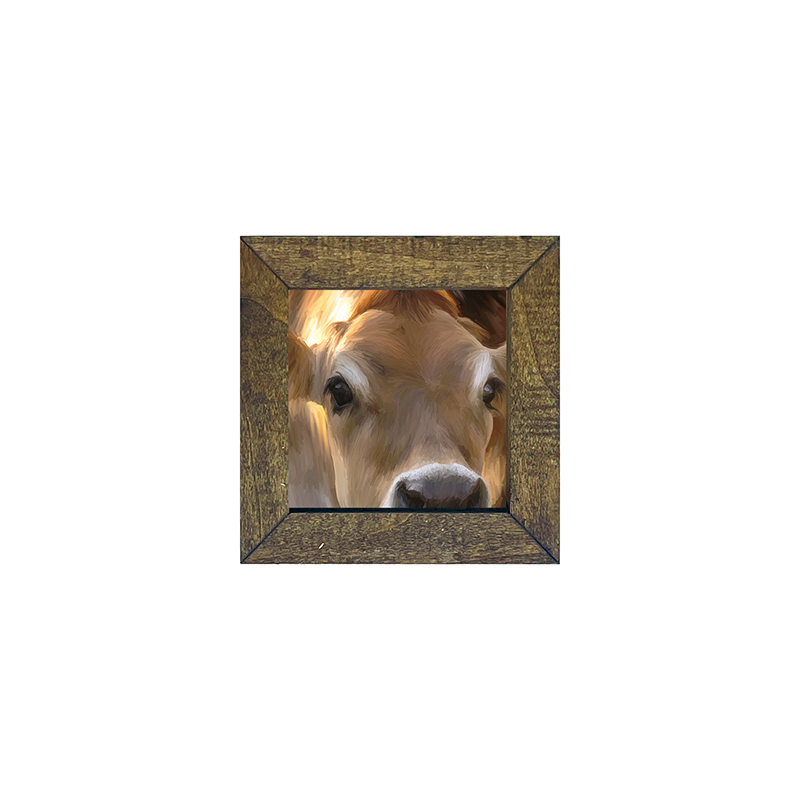 Cow-Jersey