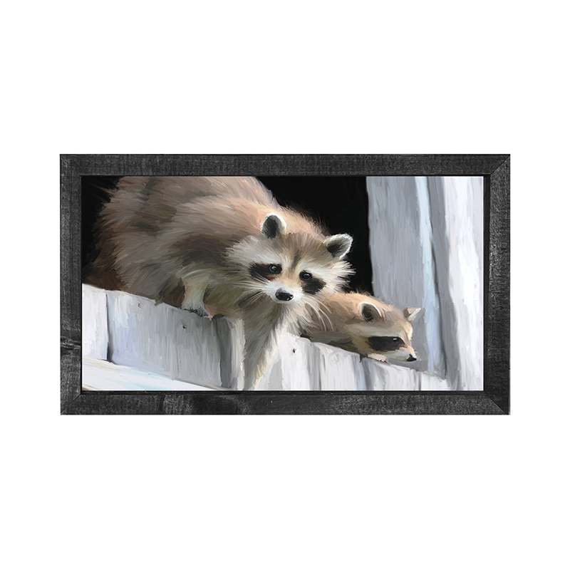 Raccoons horizontal