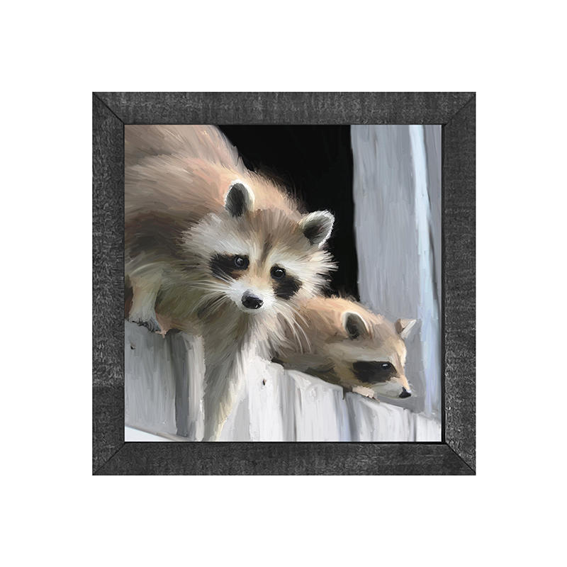 Raccoons