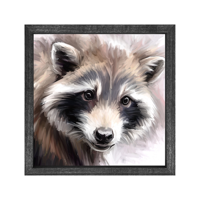 Raccoon Portrait