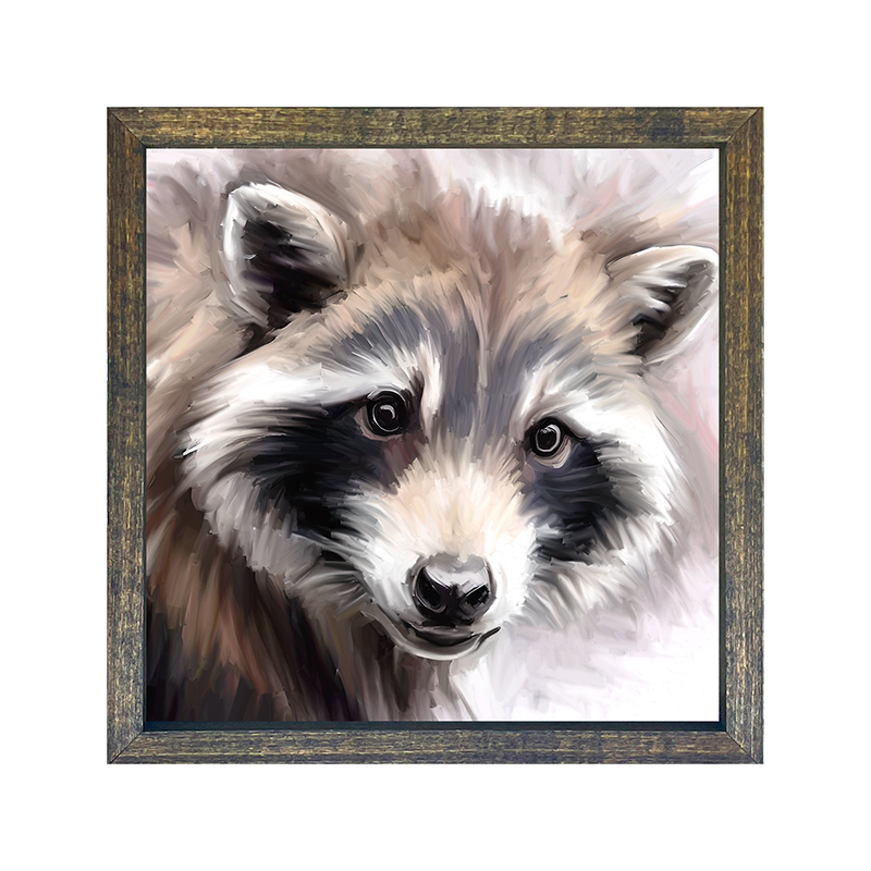 Raccoon Portrait