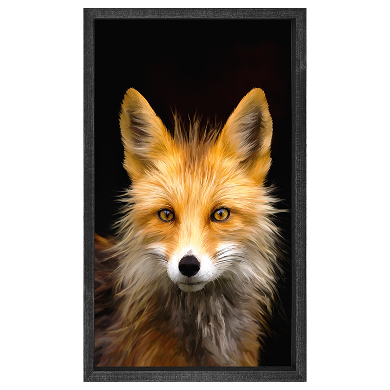 Fox