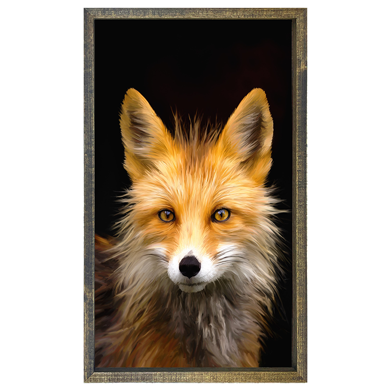 Fox