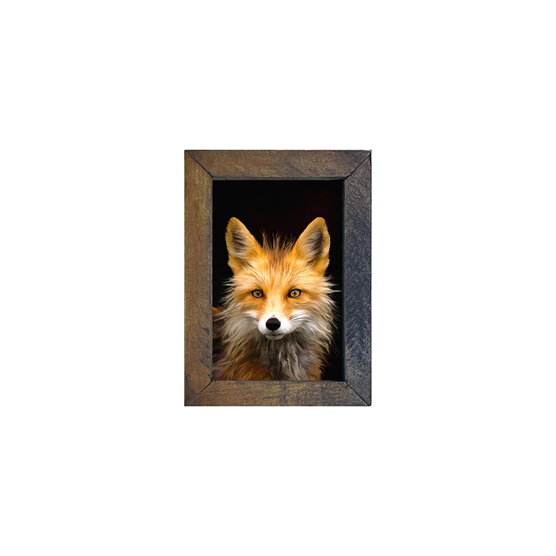 Fox