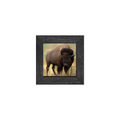 Gallery Frame