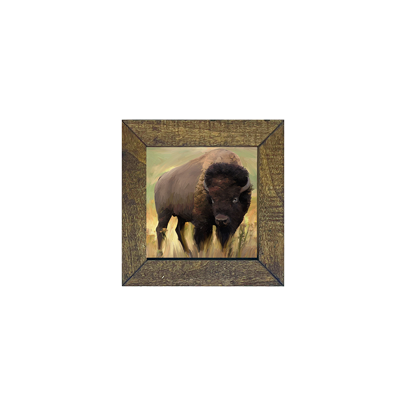 Buffalo