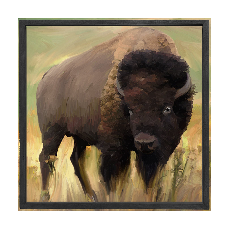 Buffalo